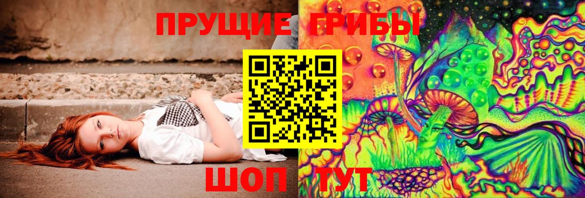 Псилоцибиновые грибы Cubensis Бийск